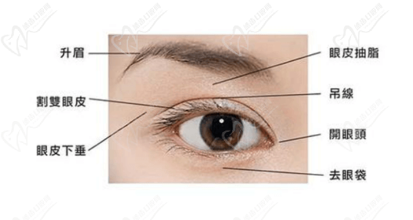 沈陽杏林杜繼鳳眼綜合多少錢