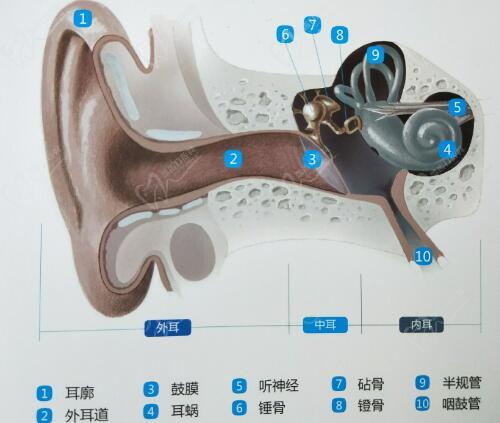 段偉強東籬醫(yī)院出診時間