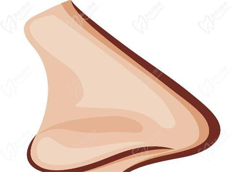 韓嘉毅是從九 院出來的嗎